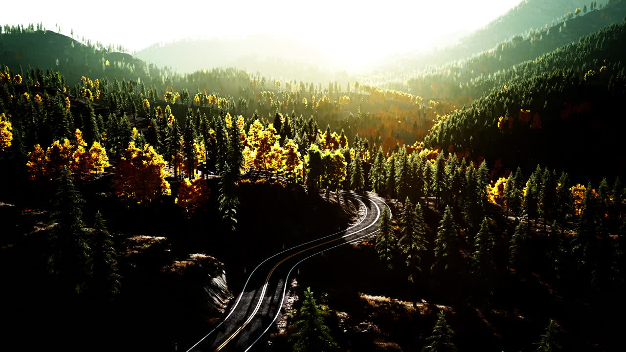 hermoso camino sinuoso a través de un bosque