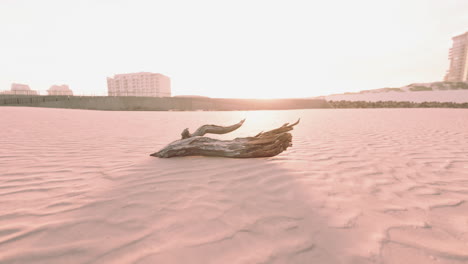 Ein-Stück-Einer-Alten-Wurzel-Liegt-Im-Sand-Des-Strandes