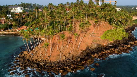 aerial of coconut tree hill, isolated palm trees