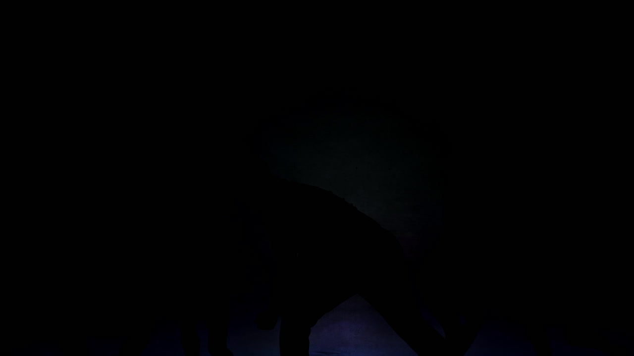 Silhouettes of people dancing in the shadows