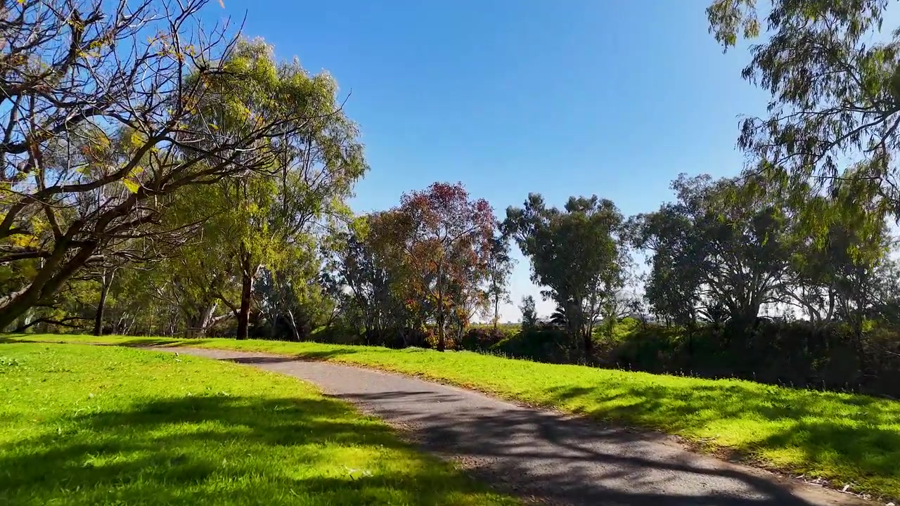 Prospettiva in prima persona mentre si cammina lungo un sentiero lastricato attraverso un parco soleggiato a Gunnedah, Australia.