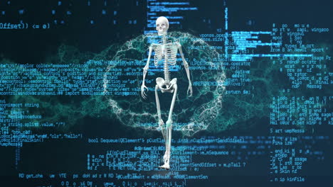 animation of covid 19 cell and skeleton over data processing