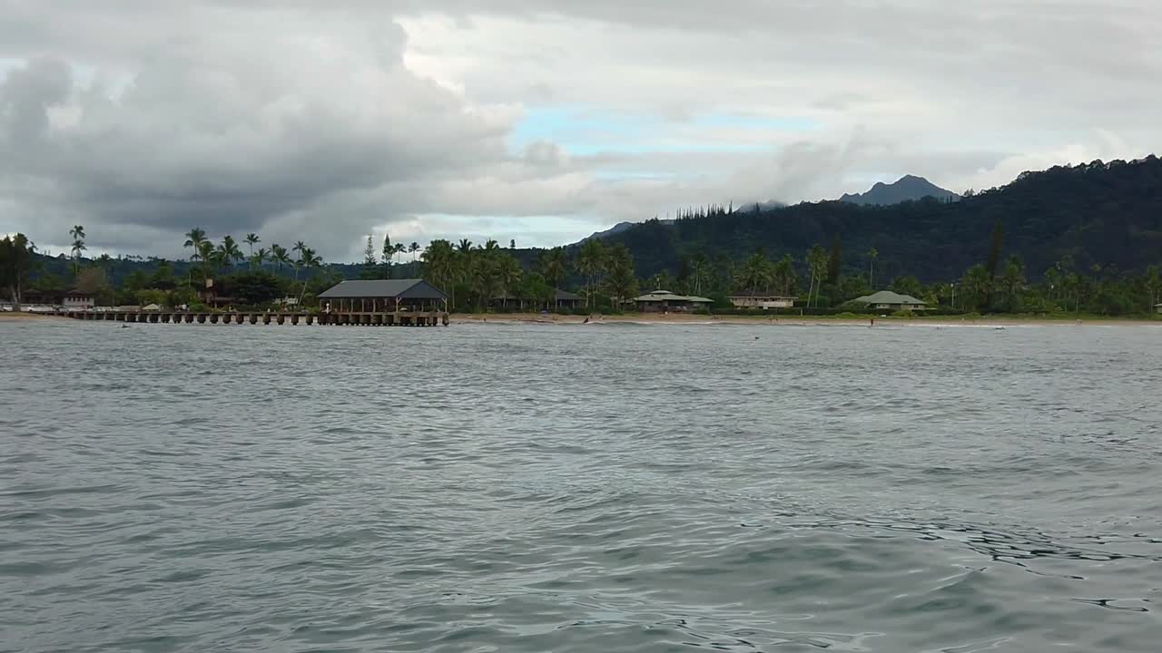 Serene Beach Scene with Palm Trees and Mountains