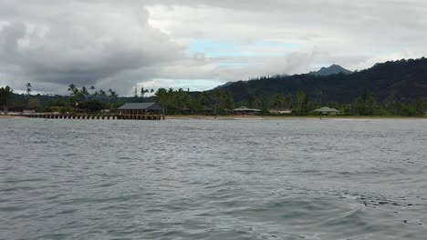 serene beach scene with palm trees and mountains