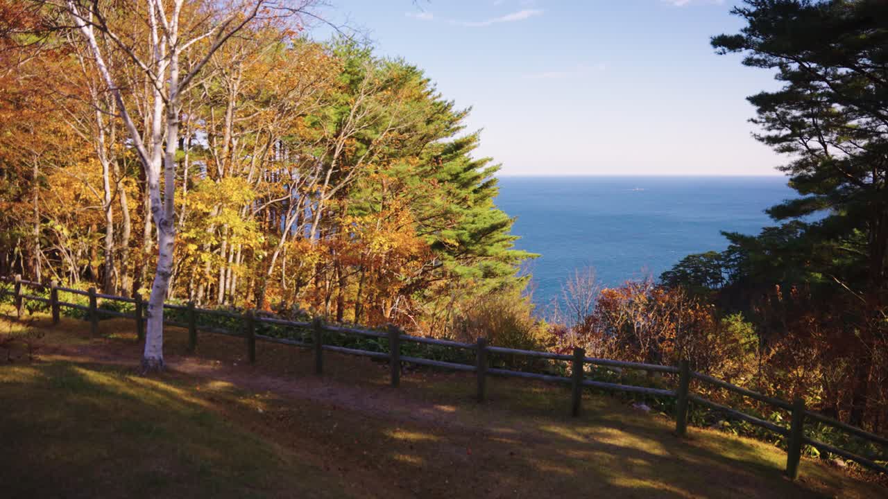 Sfondo autunnale caldo a Iwate, Giappone, Scogliere di Kitayamazaki e Mar del Giappone.