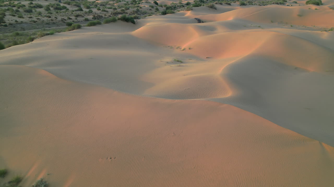 una vasta duna se extiende bajo la brillante luz del sol con arena dorada que fluye sin fin con arbustos esparcidos jaisalmer rajasthan india 4k