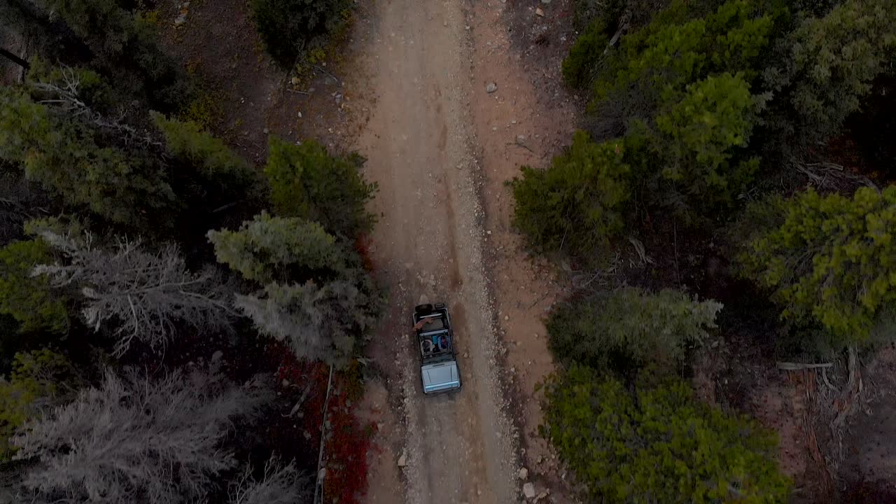 부부와 개는 콜로라도 로키 산맥의 나무를 통해 높은 고산 산악 도로를 운전합니다.