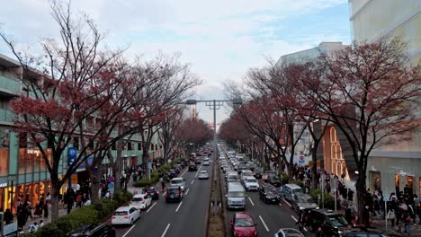 Las-Mejores-Vistas-De-Tokio