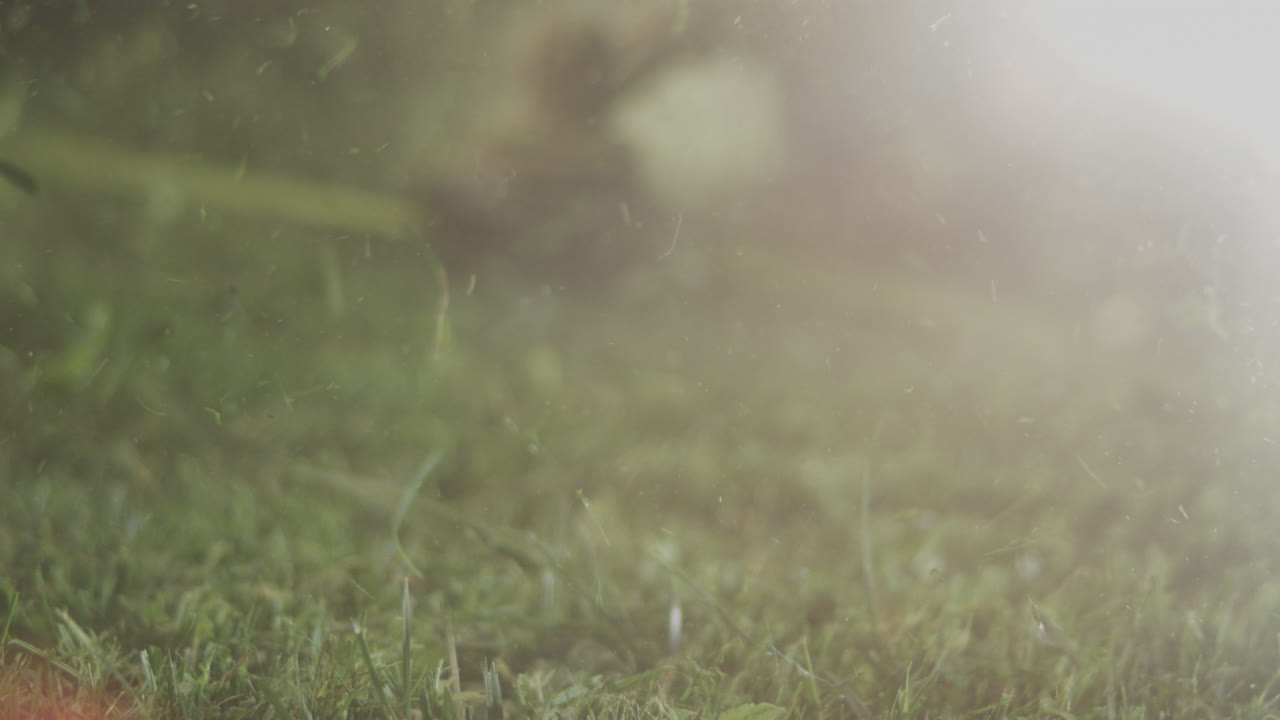 corte de césped en acción