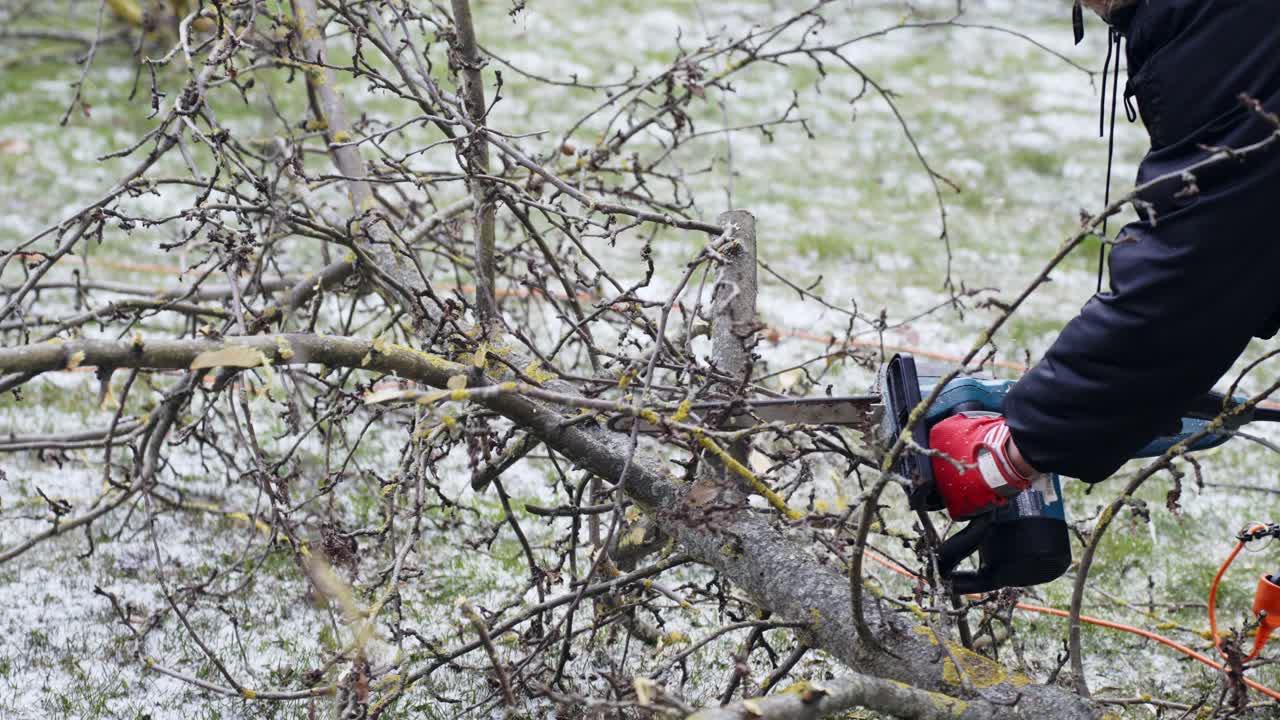 Oigenkännlig arbetare som kapar trädgrenar från ett träd på marken med motorsåg.