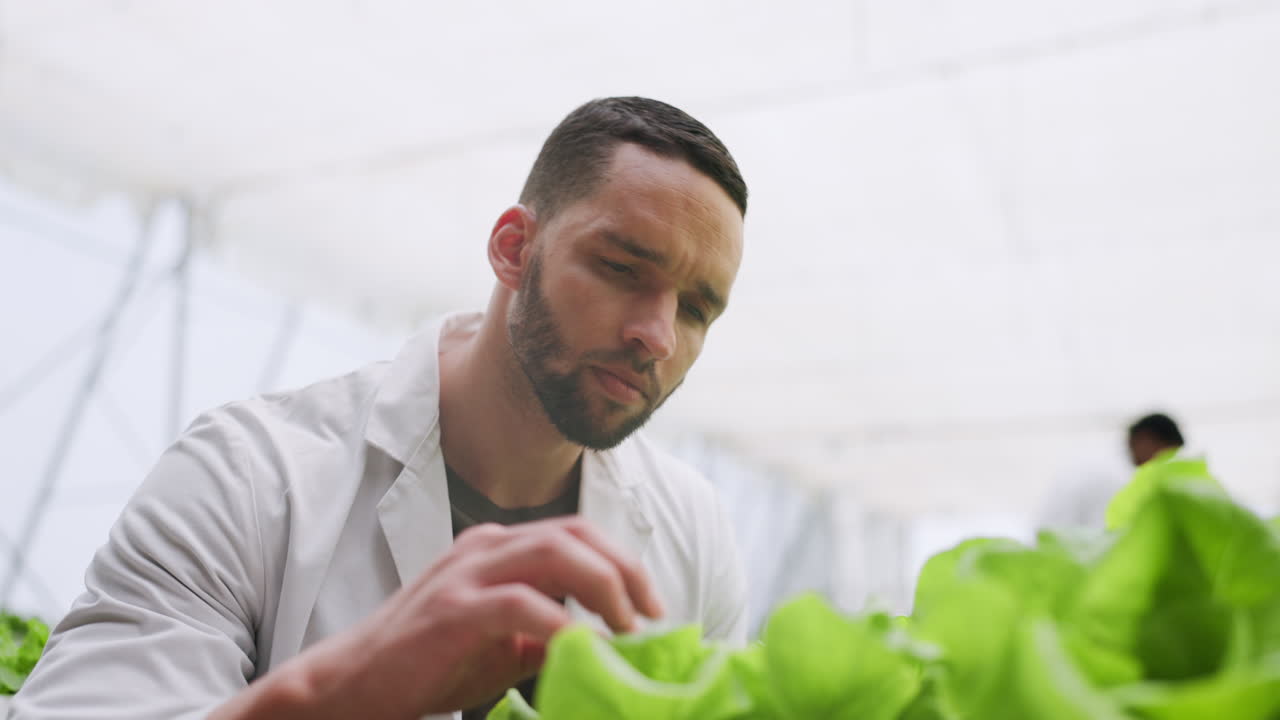 온실, 생각과 연구