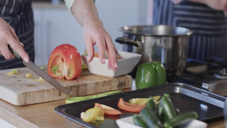 middle aged caucasian woman preparing meal, cooking in kitchen at home, slow motion