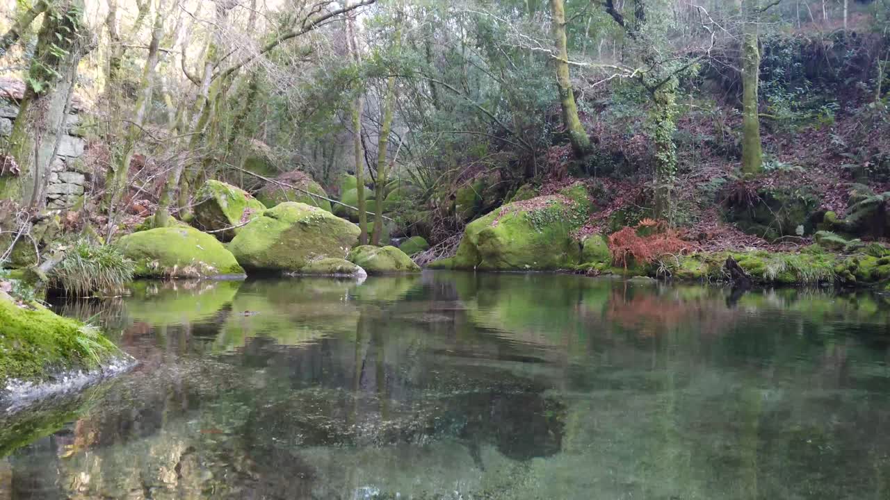 hermoso río intacto con reflejo de agua, filmado en cardán