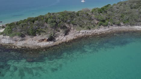 green vegetation growing on the rocky shoreline of great keppel island in southern great barrier reef, qld australia