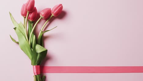 Video-Eines-Straußes-Roter-Tulpen-Mit-Rotem-Band-Und-Kopierraum-Auf-Rosa-Hintergrund