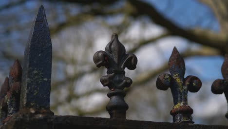 Close-Up-Of-Ladybeetles-Ladybugs-Hiding-In-Black-Metal-Fence-Ornaments