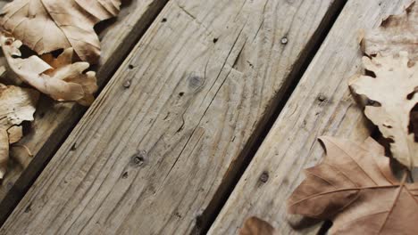 close up view of autumn leaves with copy space on wooden surface