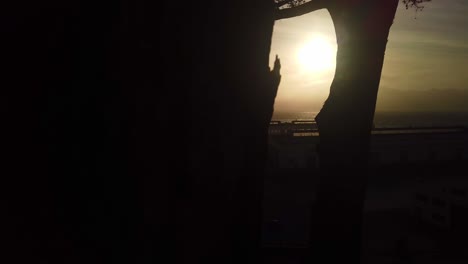 gimbal dolly shot across a tree in the foreground to reveal the golden gate bridge backlit by the sun from fort mason in san francisco at low light