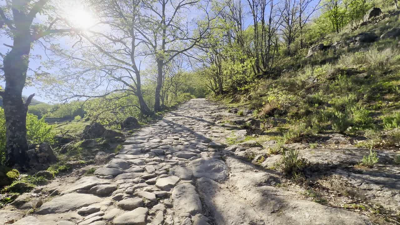dolly hacia adelante a lo largo de un sendero de adoquines en el sendero forestal de valle del jerte en españa