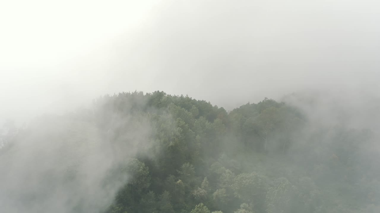 산 꼭대기에 숲을 드러내는 구름을 통해 높이 날아가는 드론 공중