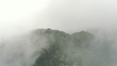 drone aerial flying high through the clouds revealing forest in top of a mountain