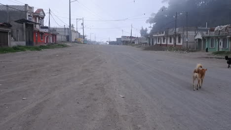 Los-Perros-Deambulan-Por-La-Polvorienta-Y-Amplia-Calle-De-Tierra-En-La-Ciudad-Montañosa-De-Guatemala.