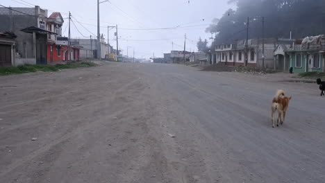 dogs roam the dusty, wide dirt street in guatemala mountain town