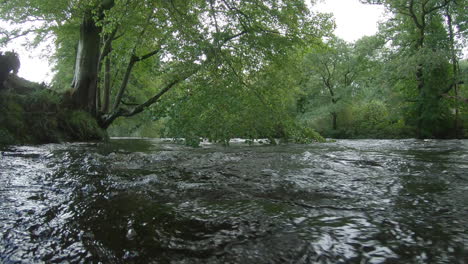 Sumergirse-Bajo-El-Río-Inundado-Corriendo-En-El-Bosque-Después-De-La-Tormenta,-Bajo-El-Agua