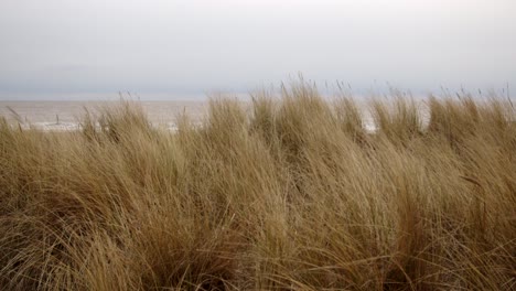 Mid-shot-looking-though-the-sand-dunes-Marram-Grass-with-the-sea-beyond-on-Ingoldmells,-Skegness-beach