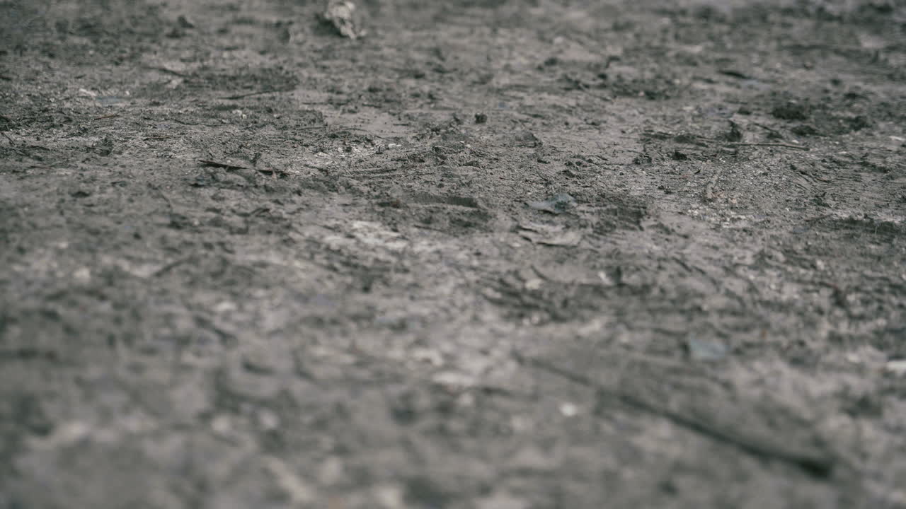 흙길을 천천히 걷는다.