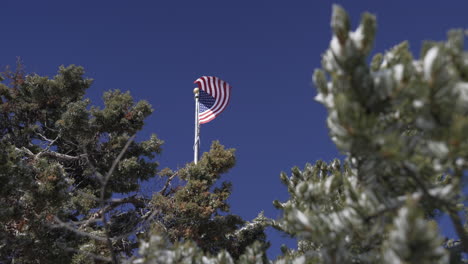 american flag proudly waving in slow motion above the snow covered pine trees in the deep blue sky - america, united states, patriotism, freedom, pride, democracy, soldiers, military, sacrifice, honor