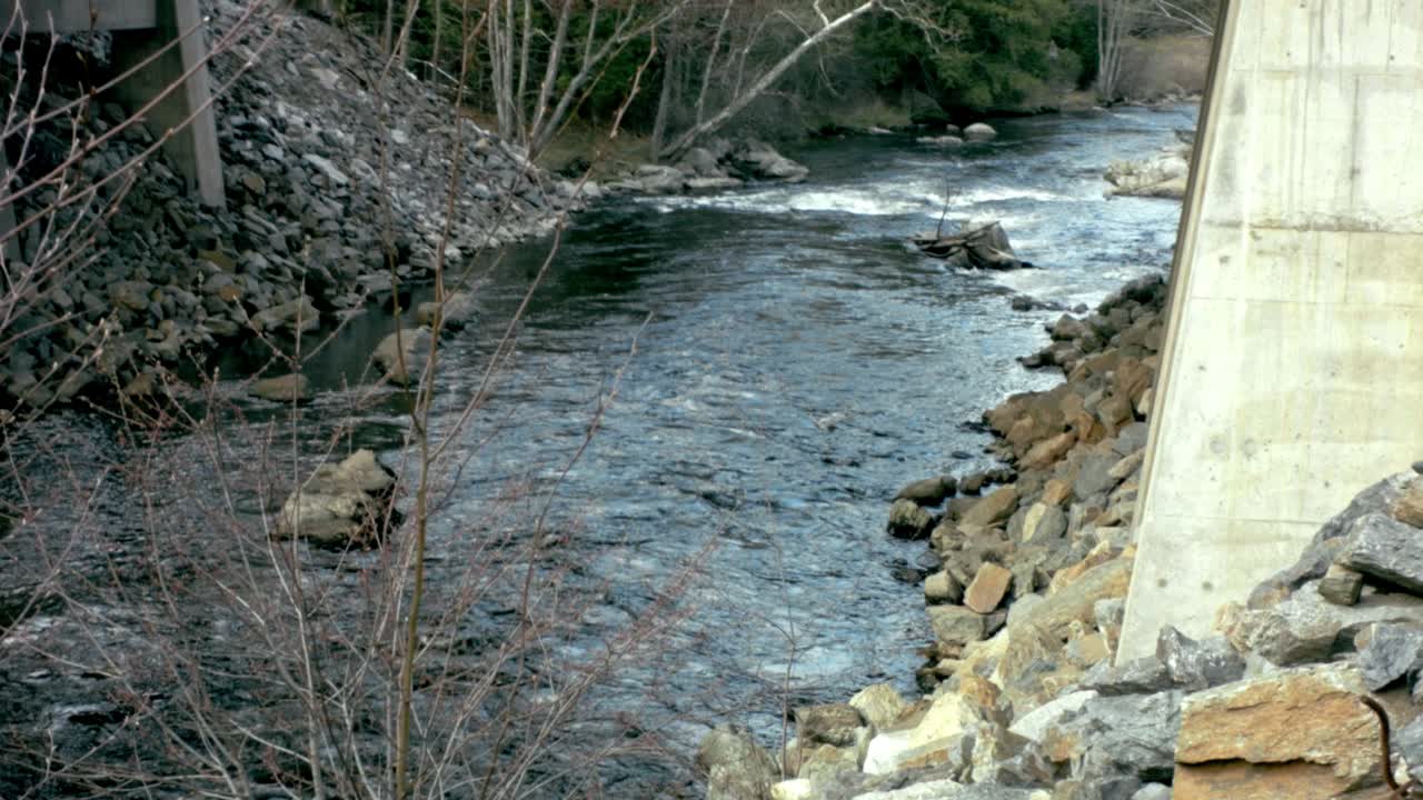 Un río tranquilo fluye entre dos lechos rocosos en la base de un puente con vegetación.