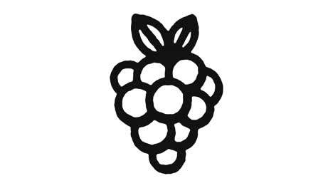 imágenes de animación de icono de uvas y canal alfa
