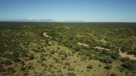 an expansive drone shot revealing a herd of elephants in the hot african afternoon sun by a dam