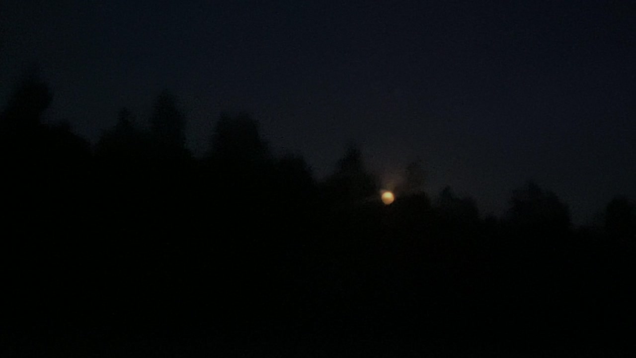 Full moon at night with some trees behind