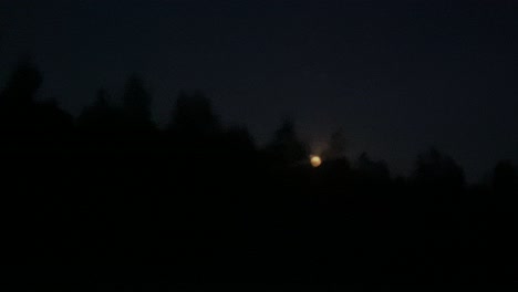 Full-moon-at-night-with-some-trees-behind