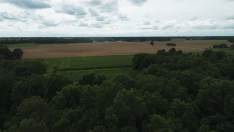 Moody-scenery-of-a-somber-overcast-sky-overlooking-an-agricultural-clearing