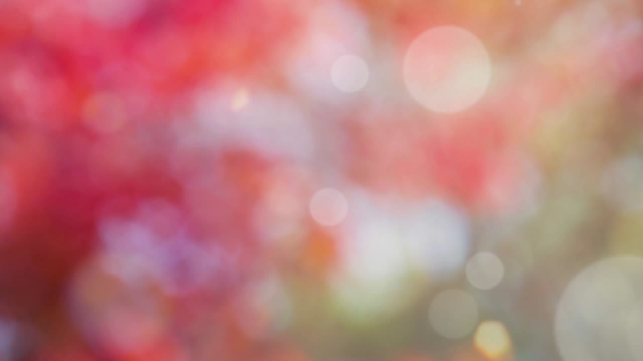 Abstract spring background with bokeh
