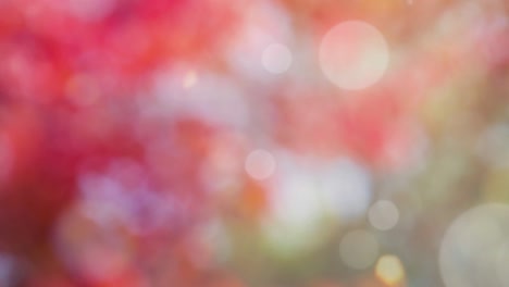 Abstract spring background with bokeh