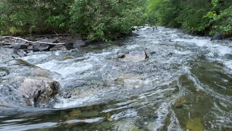 rápidos de río sobre rocas en cámara lenta
