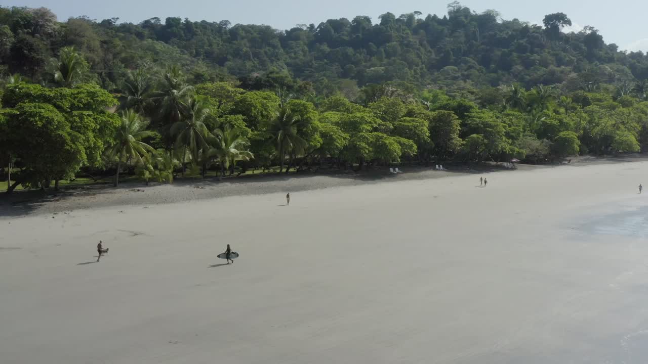 un surfista que lleva su tabla de surf camina a lo largo de una gran playa de arena en la costa rica tropical en un día soleado, un dron sigue un tiro panorámico