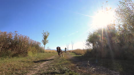 dog and owner running down a field 4k