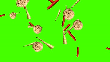 las verduras que caen animación croma elemento clave bucle, apio, pernisca y zanahorias