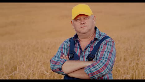 agricultor en un campo de trigo