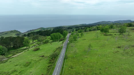 Asphalt-road-leading-to-seaside-in-rural-Spain-landscape,-aerial-view