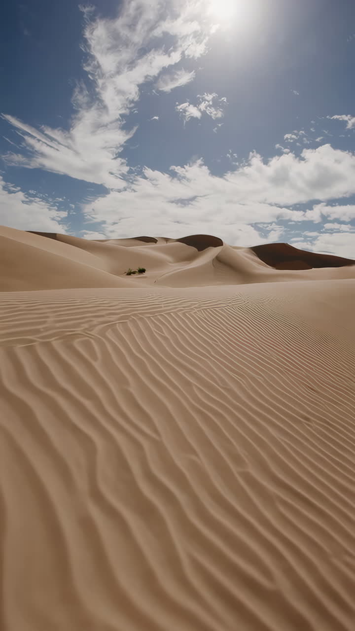 paisaje desértico con dunas de arena