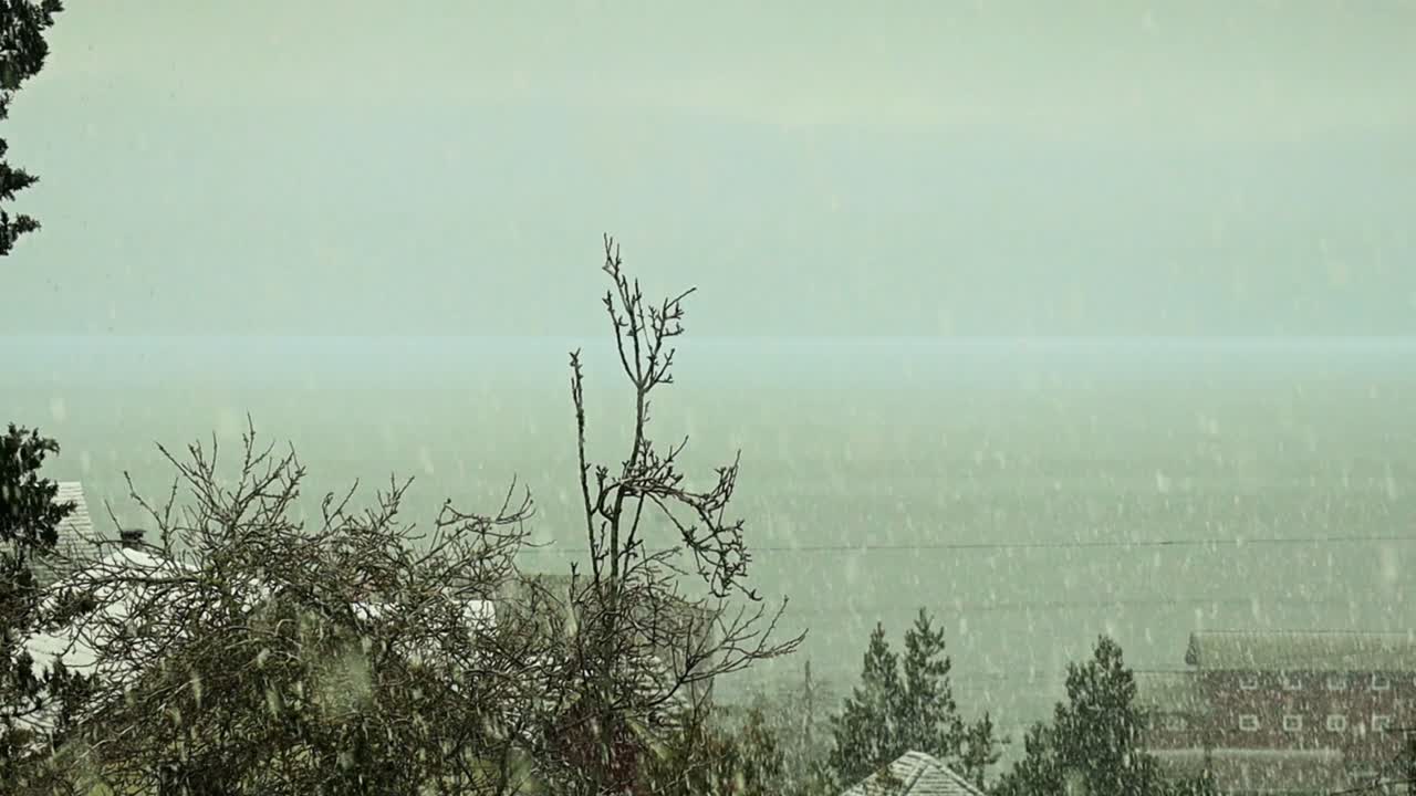 2019년 3월의 아스토리아 오레곤 눈