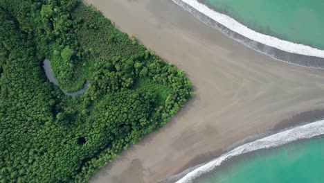 Playa-Tropical-De-Cola-De-Ballena-Con-Selva-Tropical-En-Punta-Uvita-En-Costa-Rica