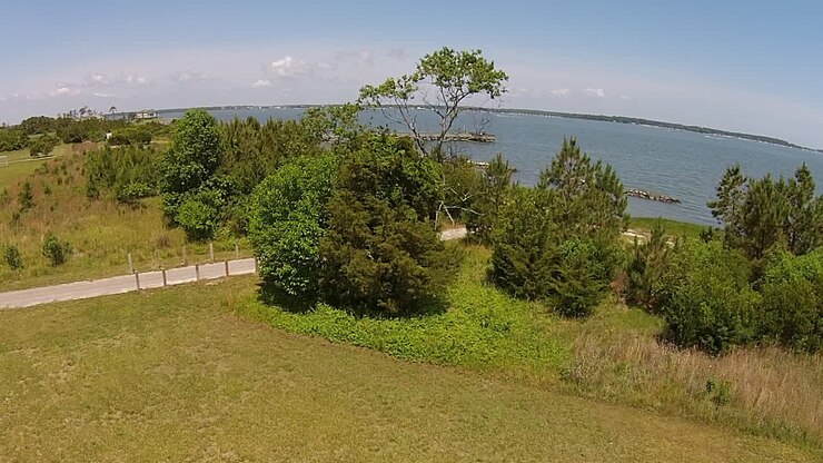 Ripresa con drone che si eleva sopra gli alberi per rivelare una baia con molo e struttura frangiflutti