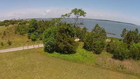 drone shot rises over trees to reveal bay with pier and breakwater structure